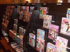 One of many racks of magazines available at manga cafe. 