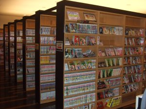 Thousands of manga from adventure to historical are available at most manga cafes.